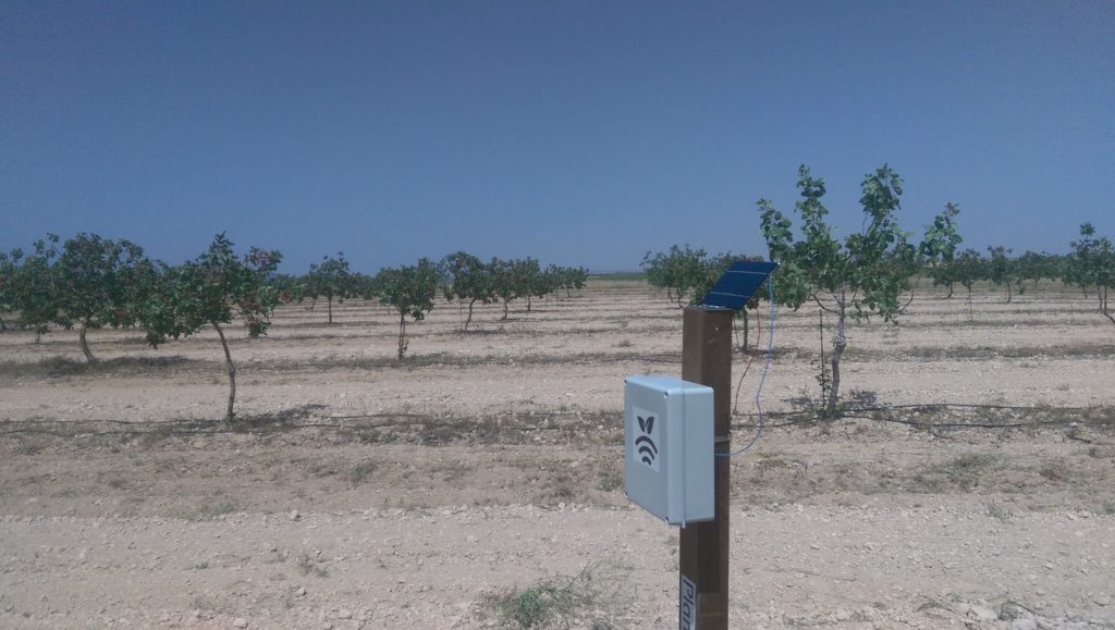 Primer Hub/receptor de sondas de suelo Plantae