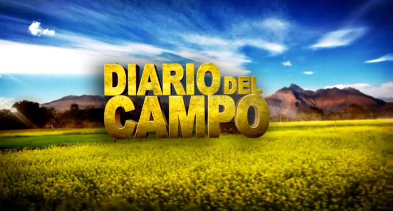 Diario del Campo