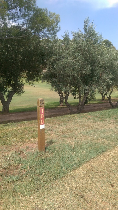Sensores/sondas de humedad en green