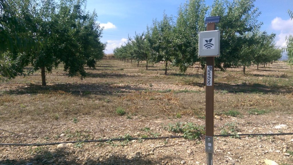 Finca experimental de almendros
