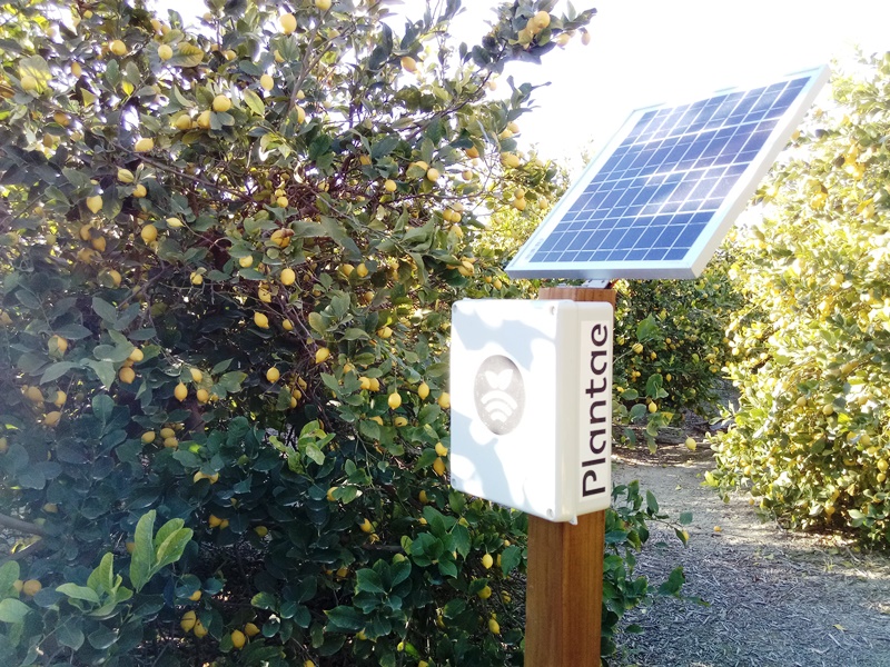 Hub en cítricos