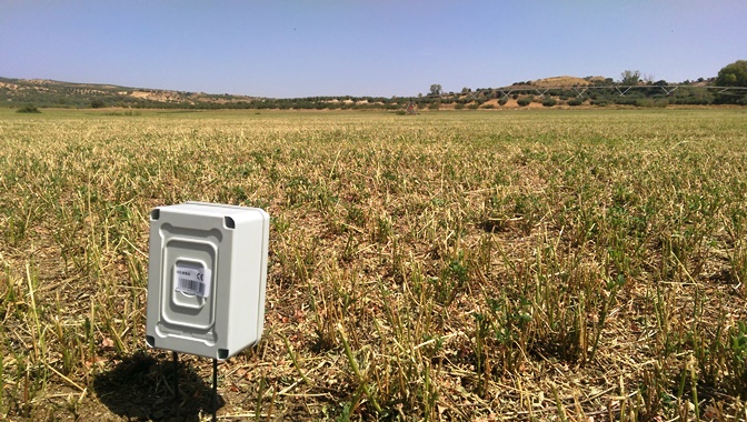 Pivot en Alfalfa