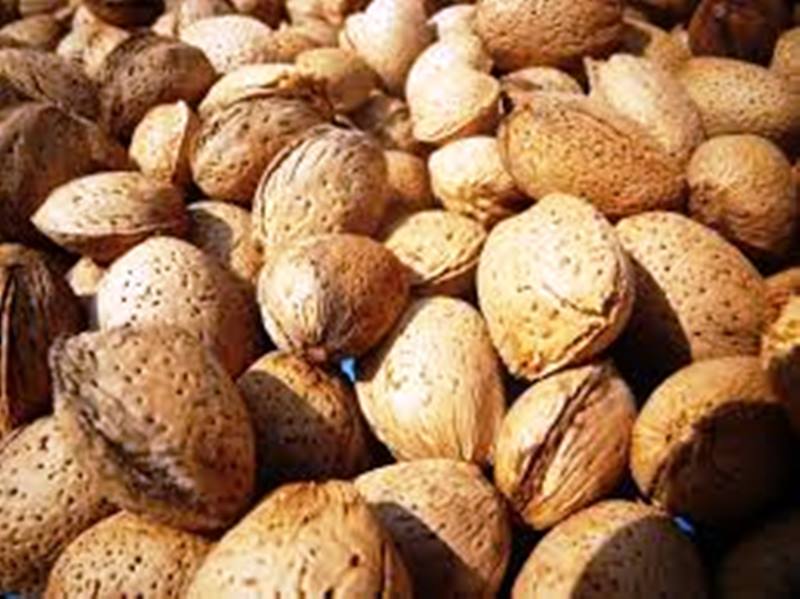 Almendras tostadas-frutos secos