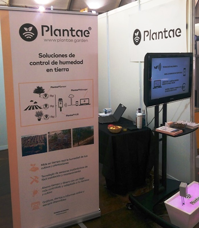 Fimart-Plantae noticia en Canal Sur