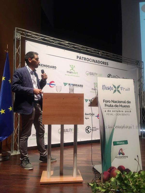 CEO de Plantae