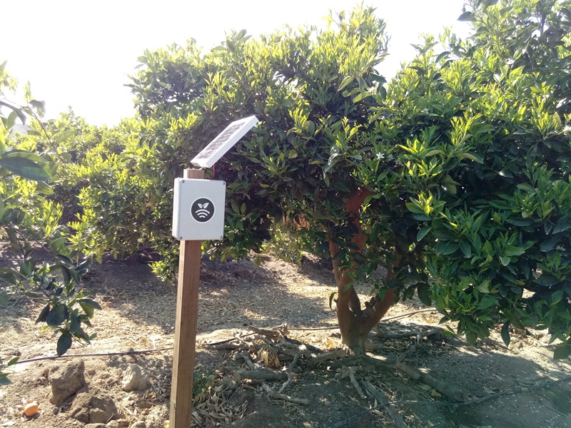 Hub Plantae controlando  plantación de cítricos
