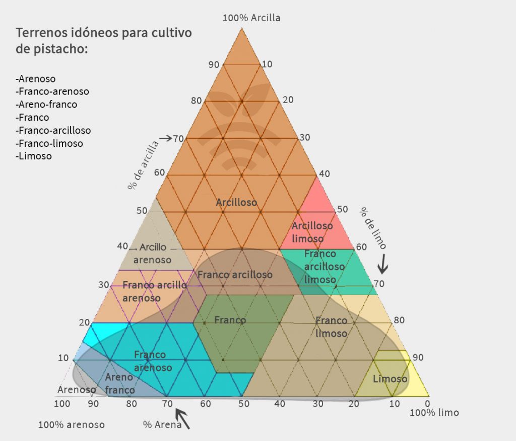 terreno idóneo para pistachos