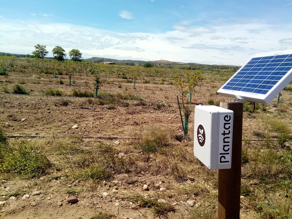 Hub en pistacho-Toledo
