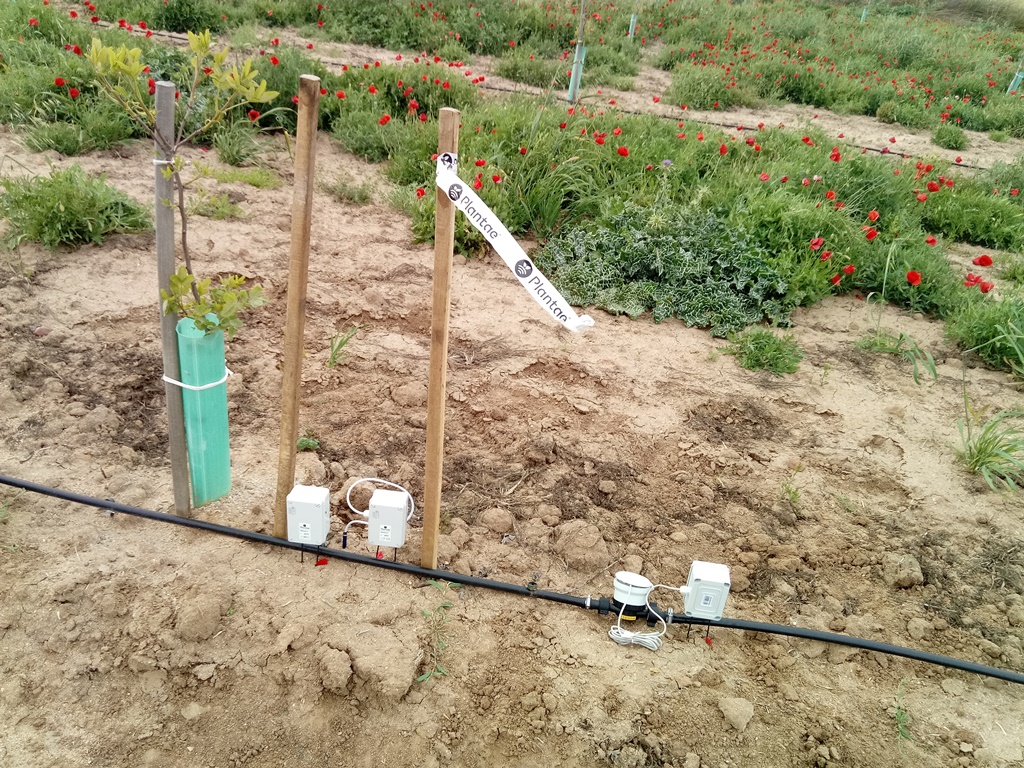 Riego controlado con sensores