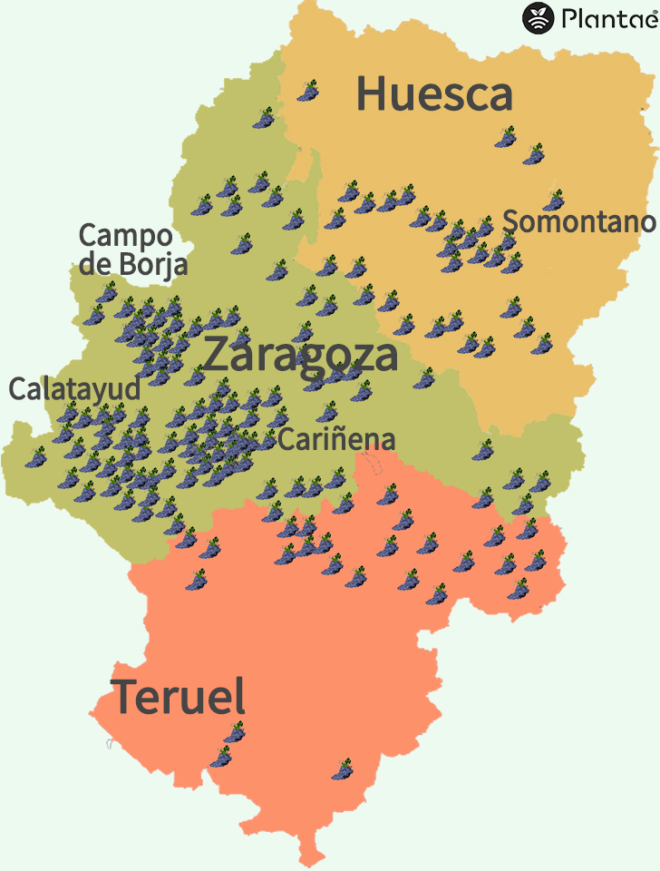 Mapa e viñedos de Aragón