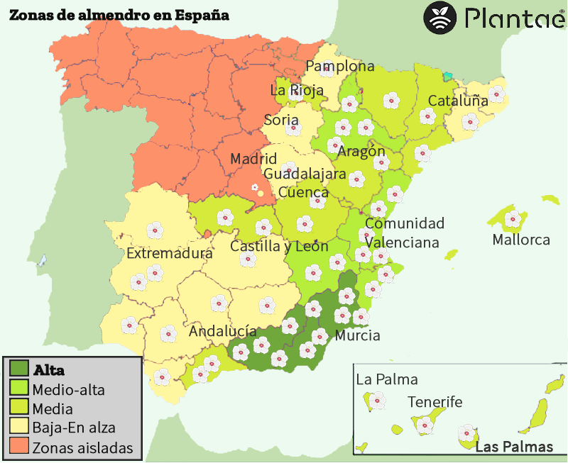 El almendro en España