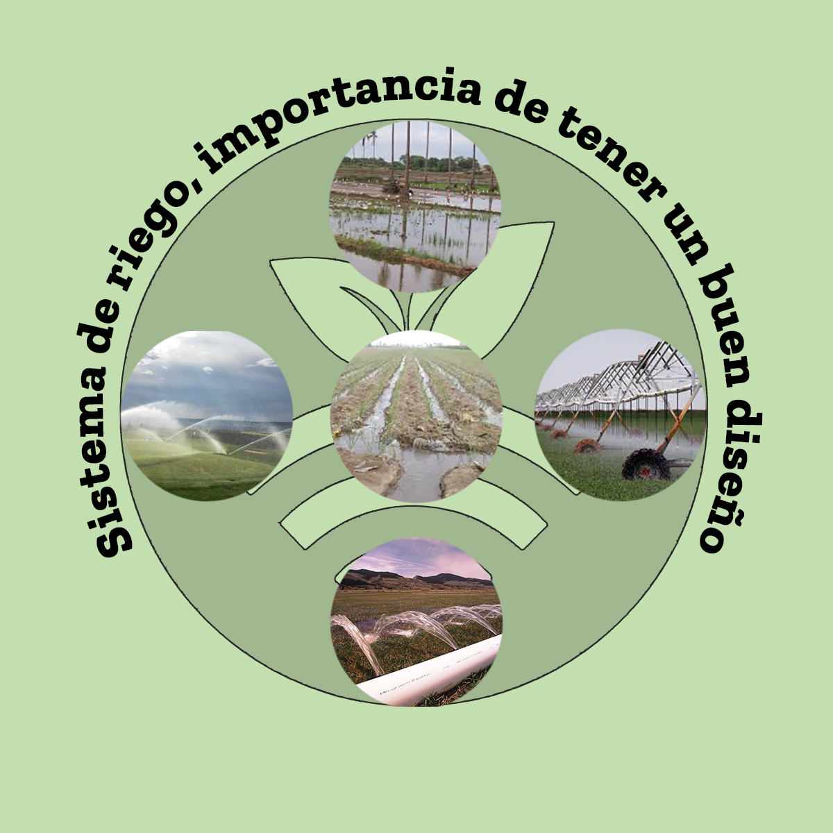 Feria fenacore del riego