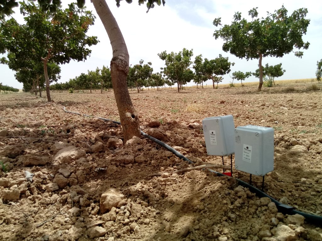 Sensores de humedad y temperatura en pistachos