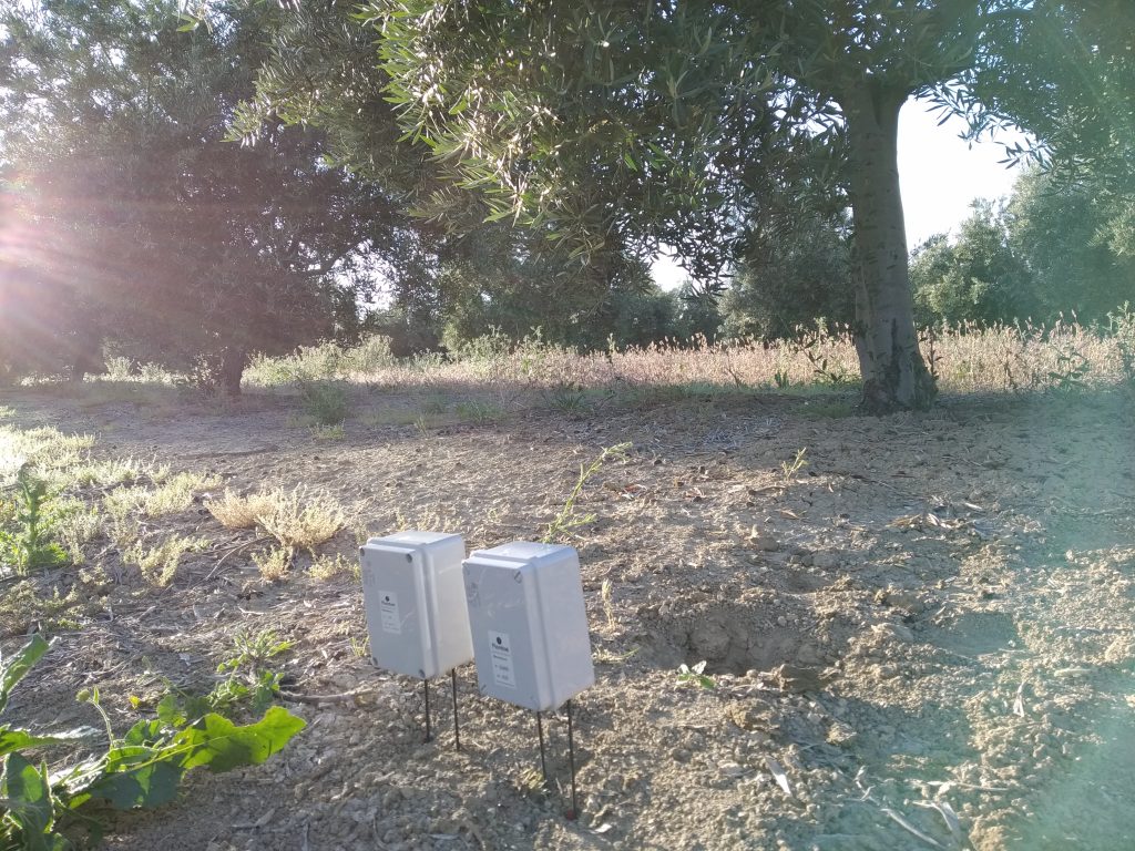 Sensores a dos profundidades en olivar intensivo