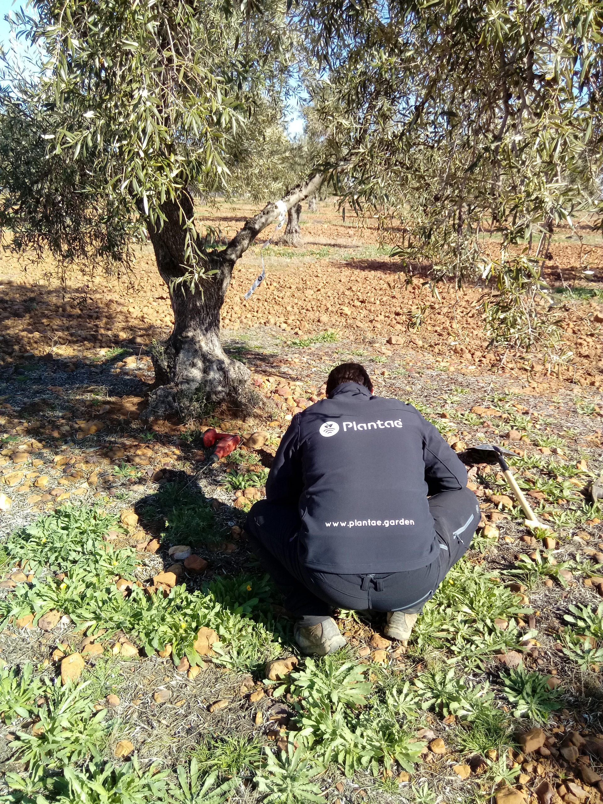Técnico de Plantae instalando sensores