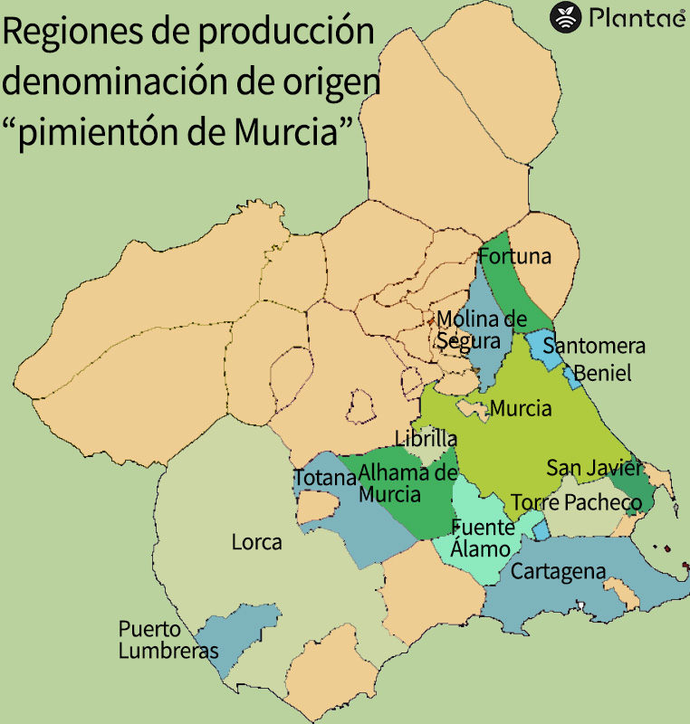 Regadío de precisión-Mapa de producción de pimientos en Murcia