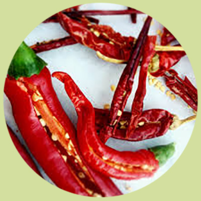 guindilla