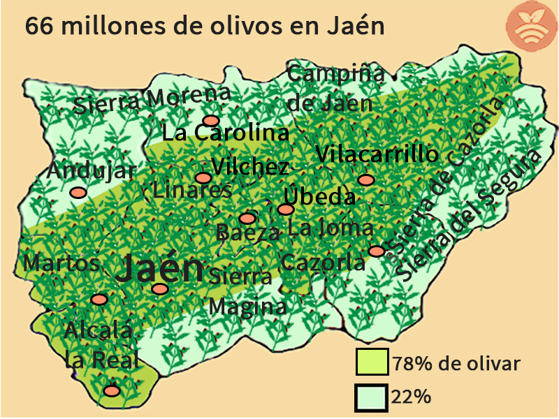 Mapa de olivos de Jaén