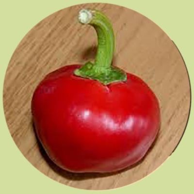 Ñora