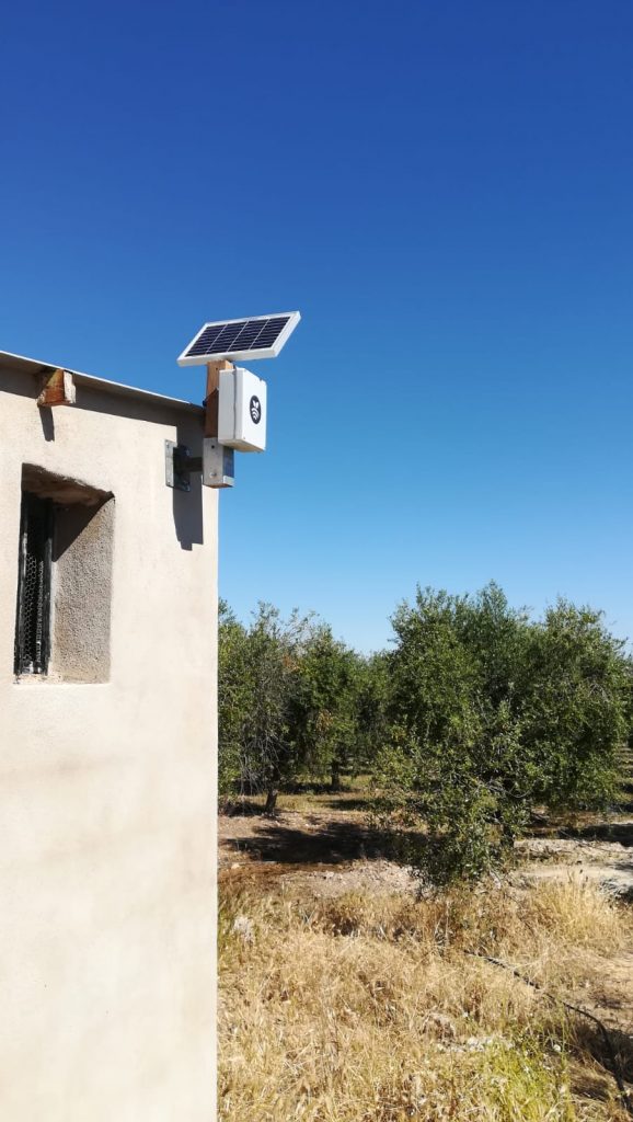 Hub en olivar