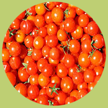 Cherry