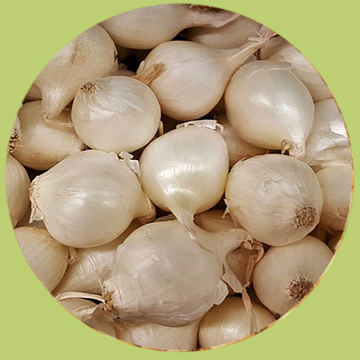 Cebolla perla