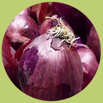 Cebolla roja