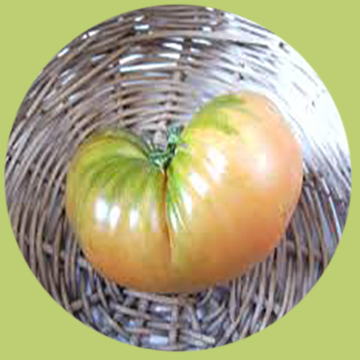 Marmande