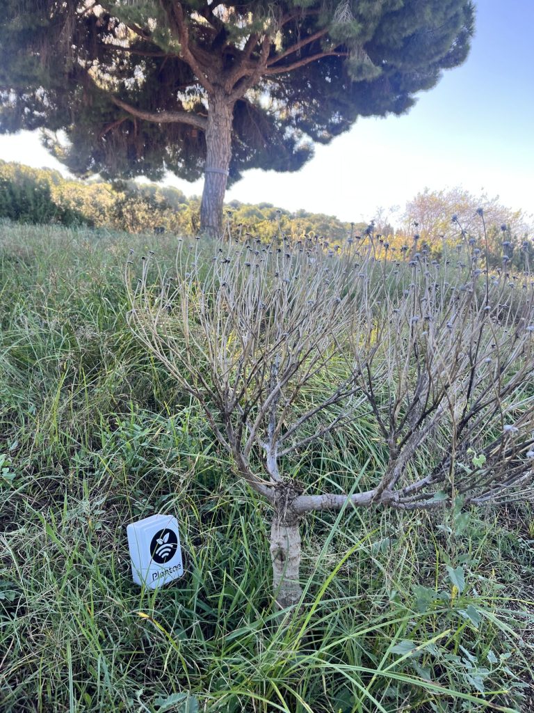 Sonda de humedad y temperatura 
