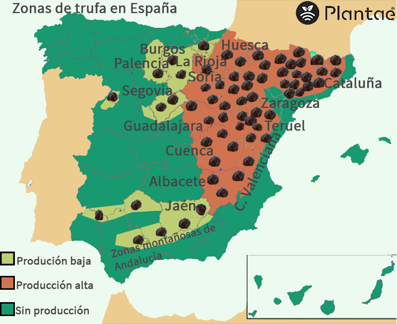 Mapa de trufa en España