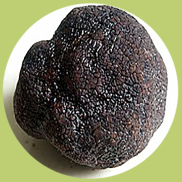 Trufa negra