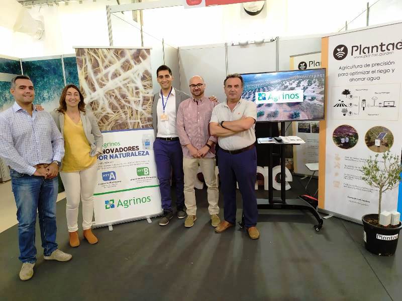 Feria de Úbeda
