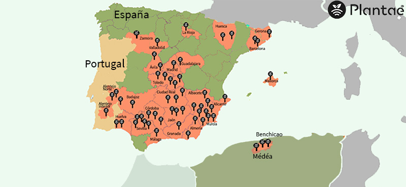 Sensores de humedad en Argelia