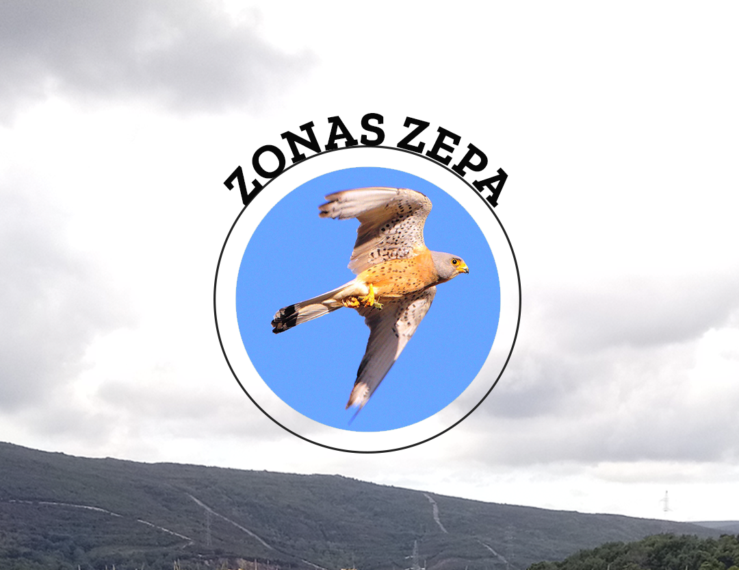 Zonas Zepa