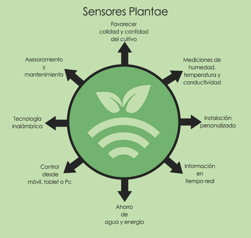 Plantae agro