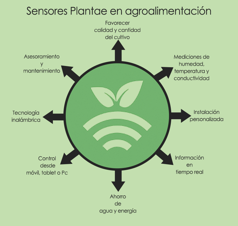 Plantae agro