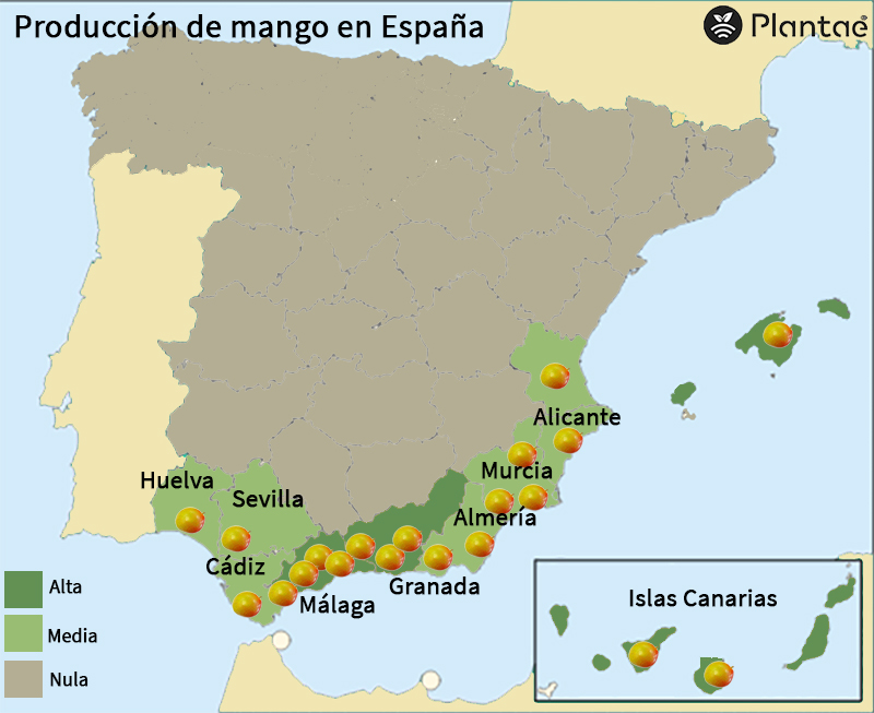 Mapa de España del mango