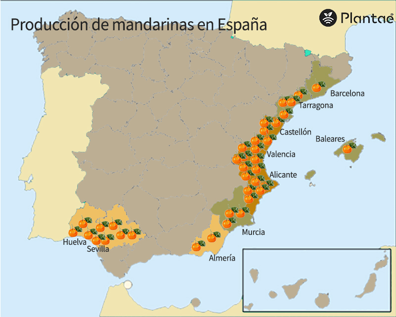 Mapa de mandarina en España
