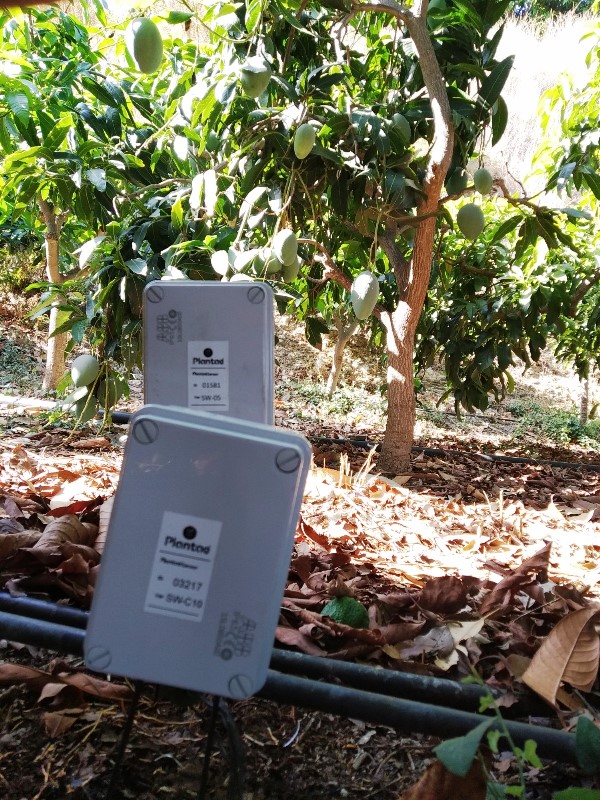 Sensores en mango