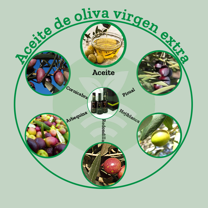 Aceite de oliva Virgen Extra