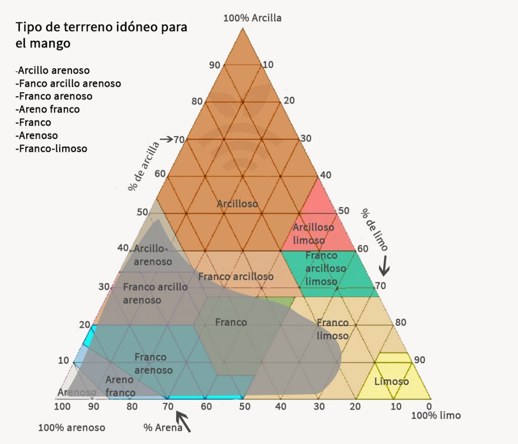 Terreno idóneo de mango