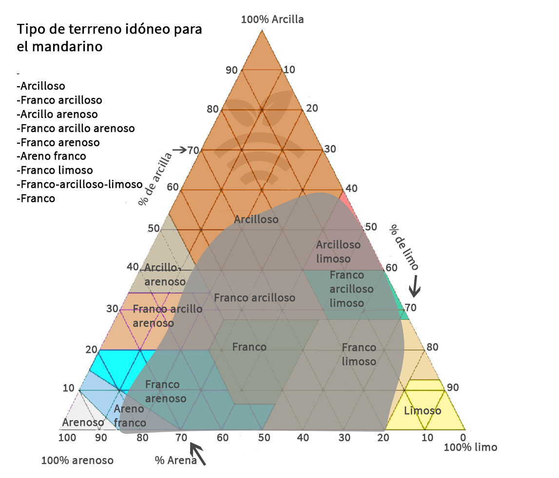 Terreno idóneo para mandarina