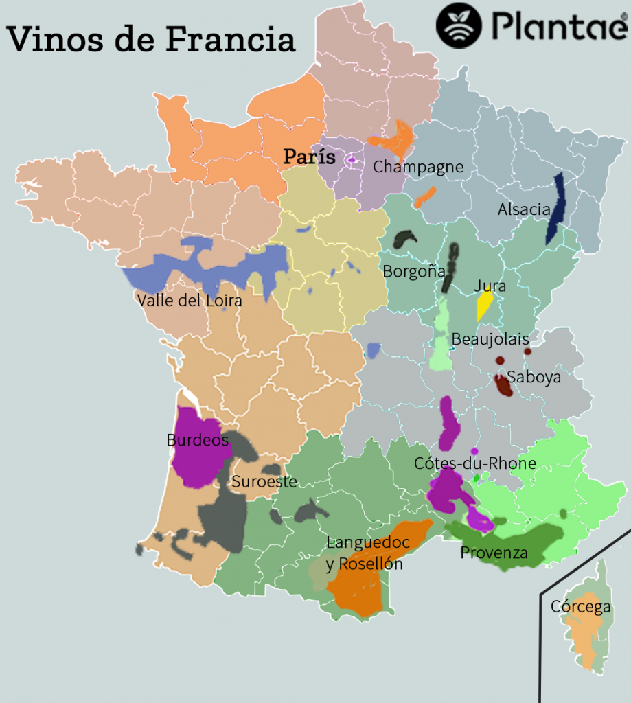 Vinos en Francia