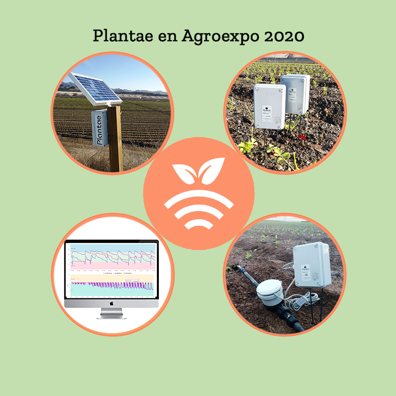 Novedades Plantae en feria de Don Benito