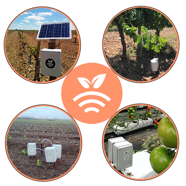 Plantae Sondas y sensores en cultivos-
