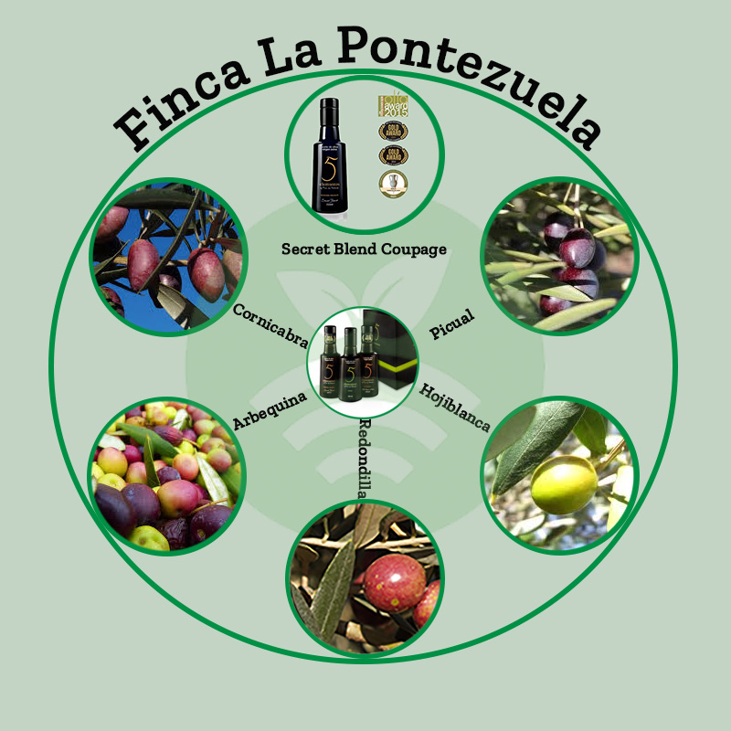 Finca la pontezuela