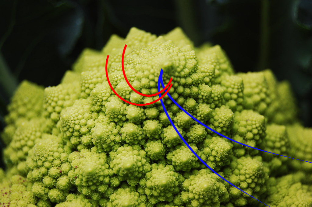 romanesco