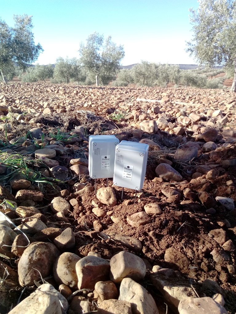 Riego por goteo en terreno pedregoso