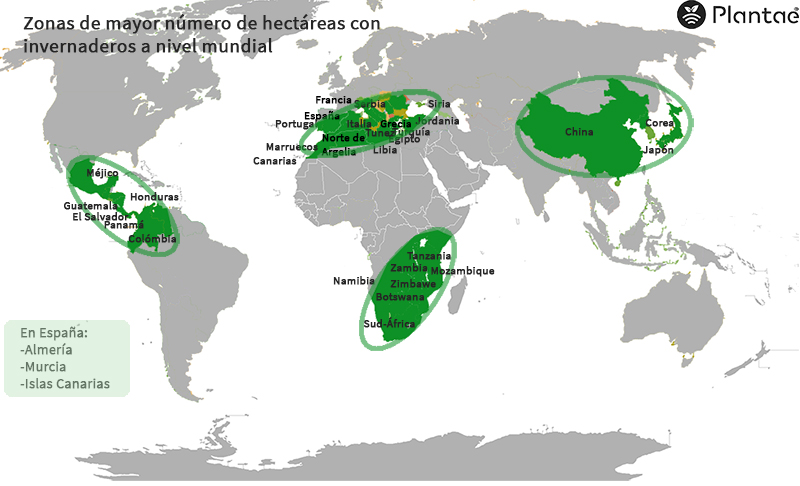 Invernaderos a nivel mundial