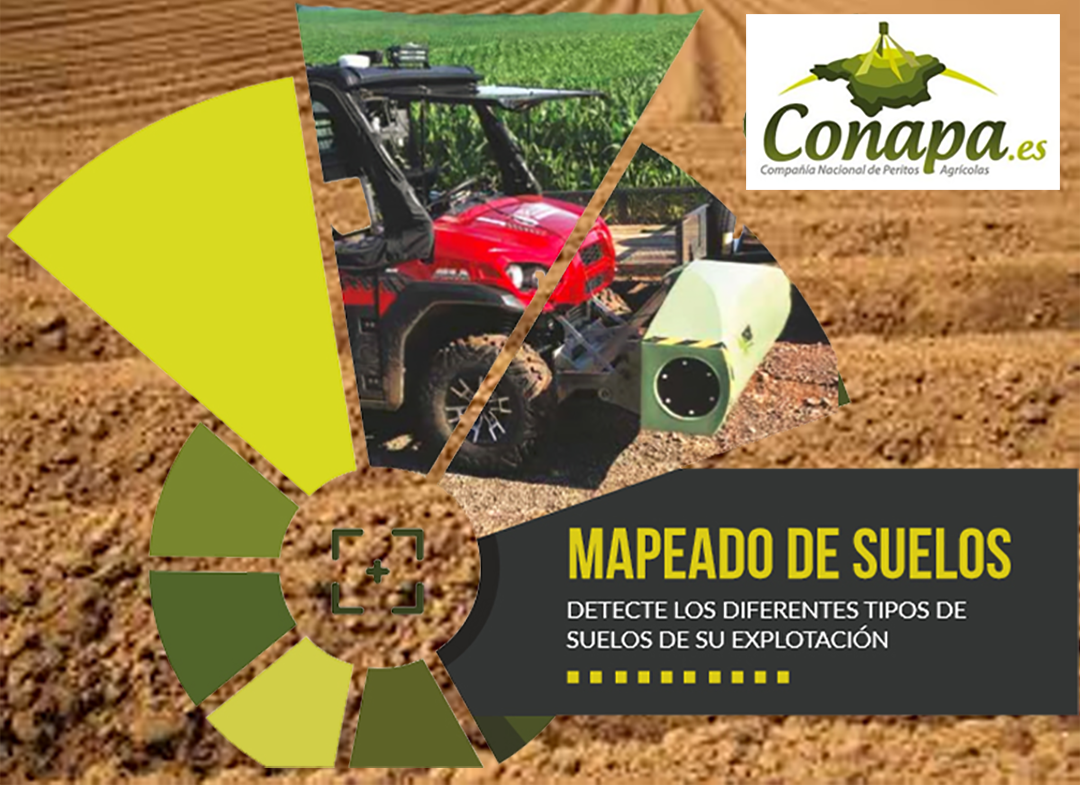 Conapa